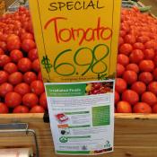 ConferenceAussie Irradiated Tomatoes for sale in Porirua