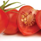 Asiafruit tomato graphic